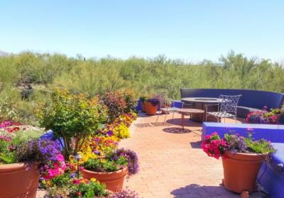 Tucson Patio, Pavers, and Walls- Landscape Architects- All Terrain Landscape Creations