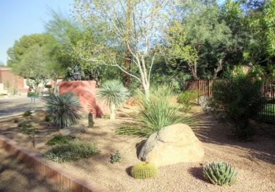 Tucson Patio, Pavers, and Walls- Landscape Architects- All Terrain Landscape Creations